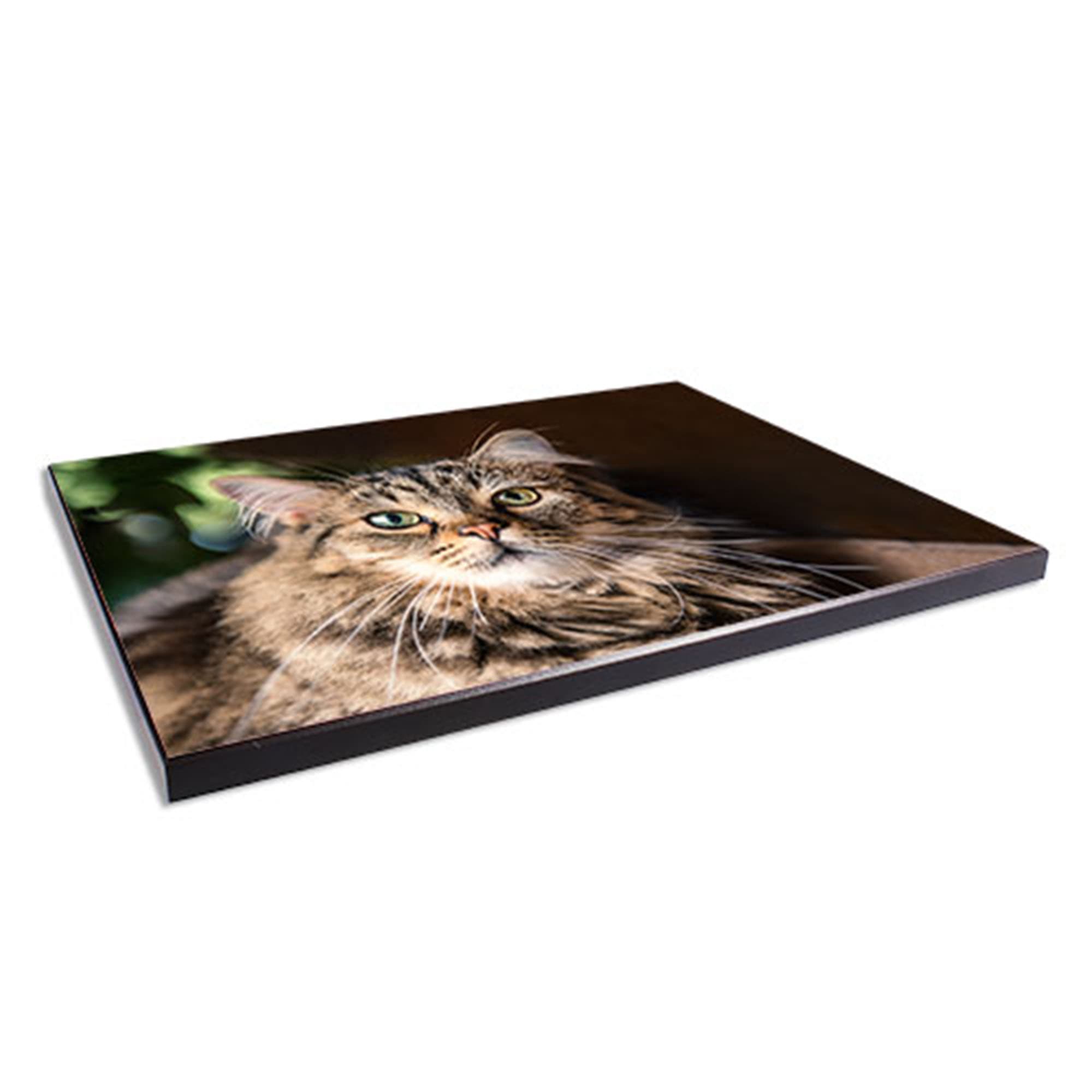 Panel ścienny ChromaLuxe połysk-biały, 180 x 270 x 16 mm, kolor ramy czarny, 10 szt./opak.